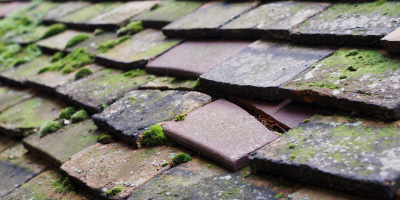 Glasllwch roof repair costs